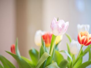 Konzert mit Theres und Markus Linder