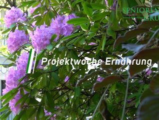 Projektwoche Ernährung