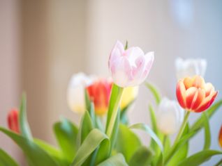 Ein unterhaltsamer Nachmittag